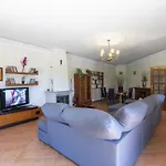 Vila Monte Palmeiras By Algarve Holidays *