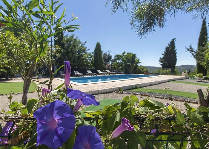 Monte Palmeiras * Loule