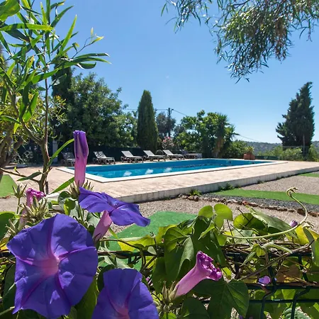 Villa Monte Palmeiras By Algarve Holidays